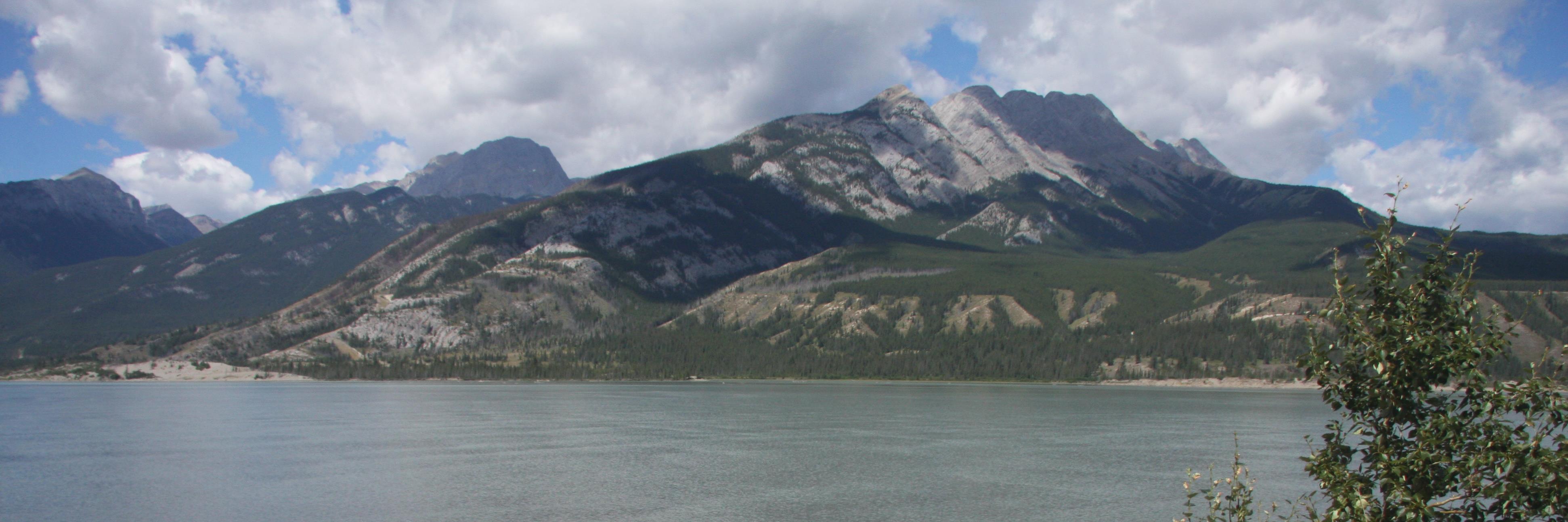 Maria M. Skjold banner