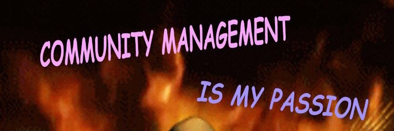 Lisa Schaeffer - LFW banner