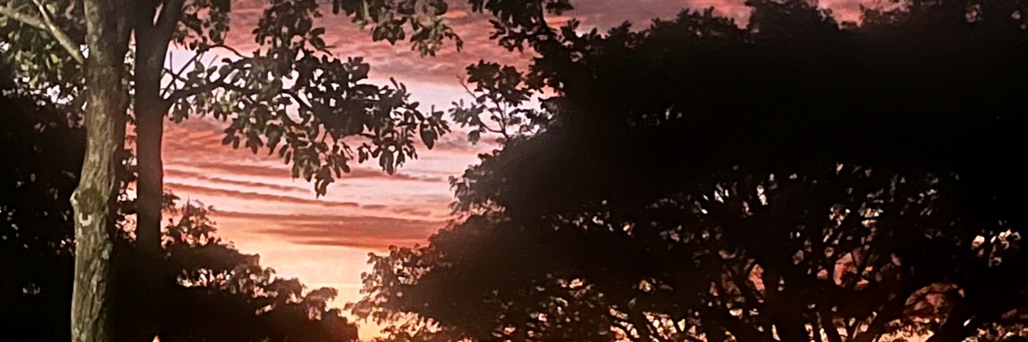 auseni's profile banner image