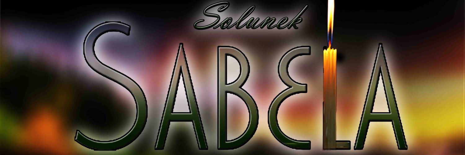Solunek's profile banner image