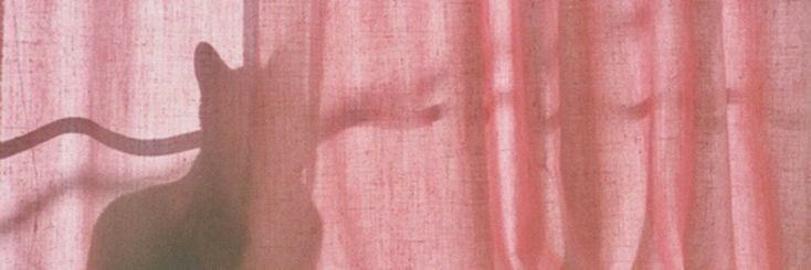 Sweet_Pinky96's profile banner image