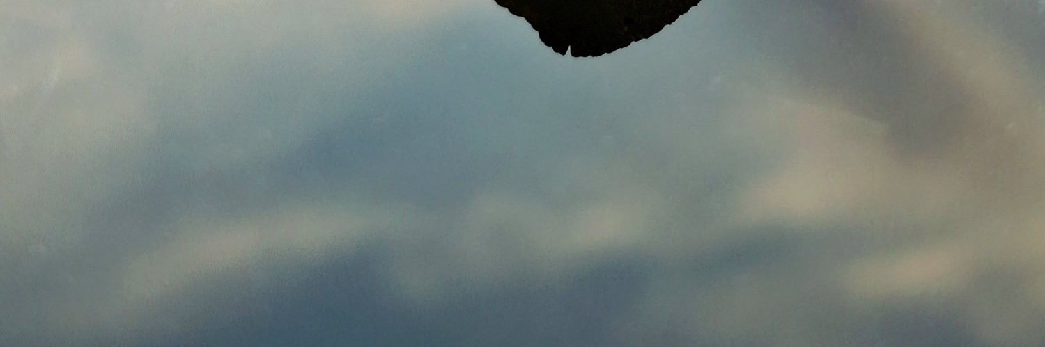 hassebs39's profile banner image