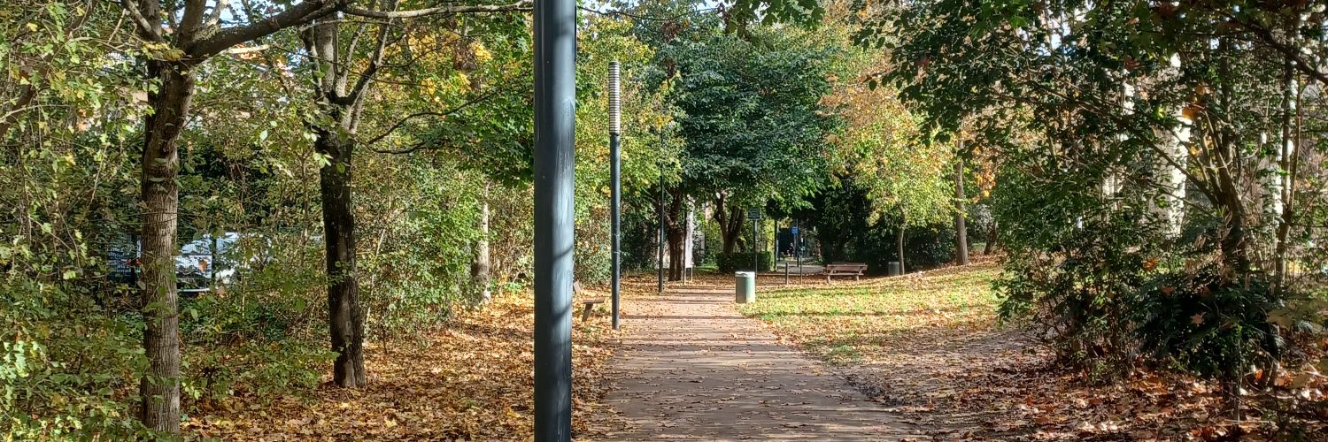 走过、路过、看过👋 banner