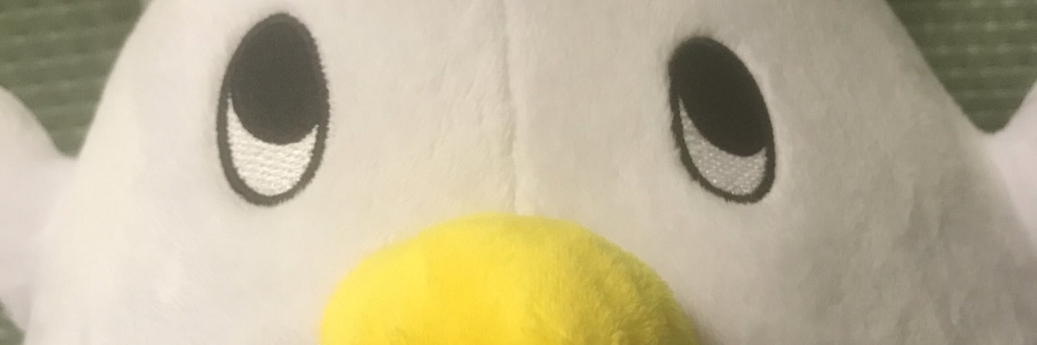 dbm_pyy's profile banner image
