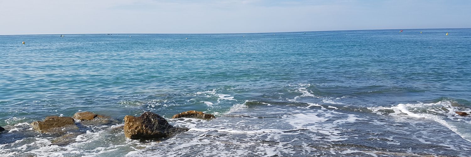 triguntu's profile banner image