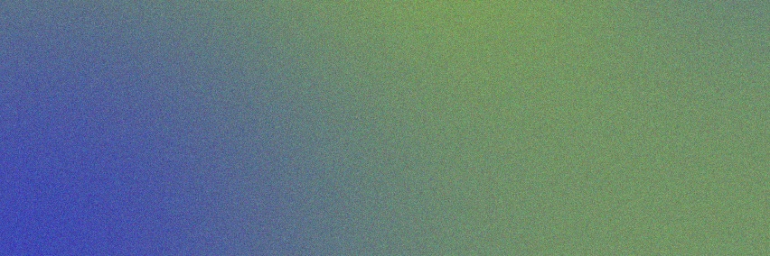 Caribbean Solidarity Network (CSN) banner