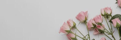 shreya banner