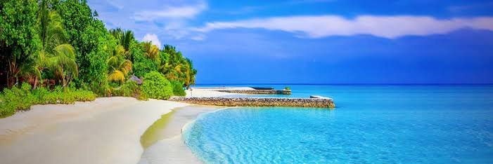 Cutely_annoying banner