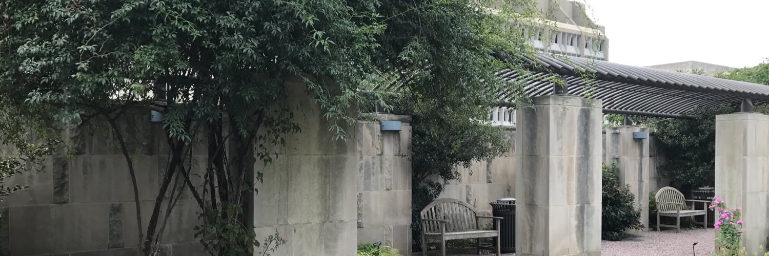 AudraHamernik's profile banner image