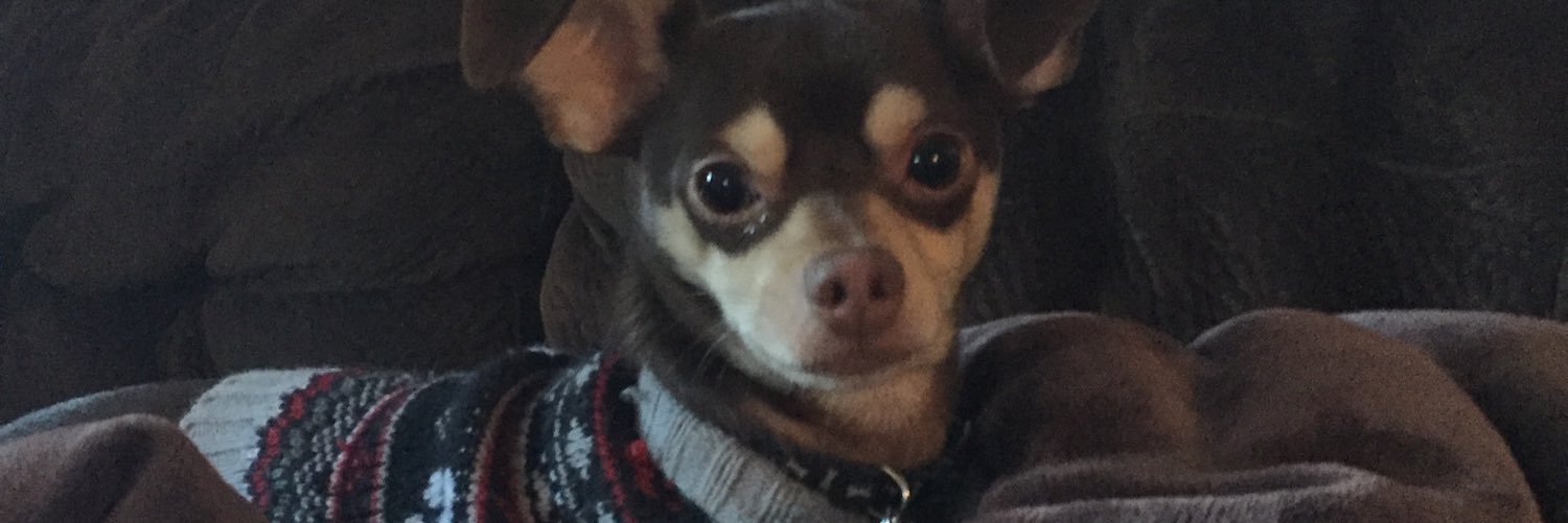 bhernandez78's profile banner image