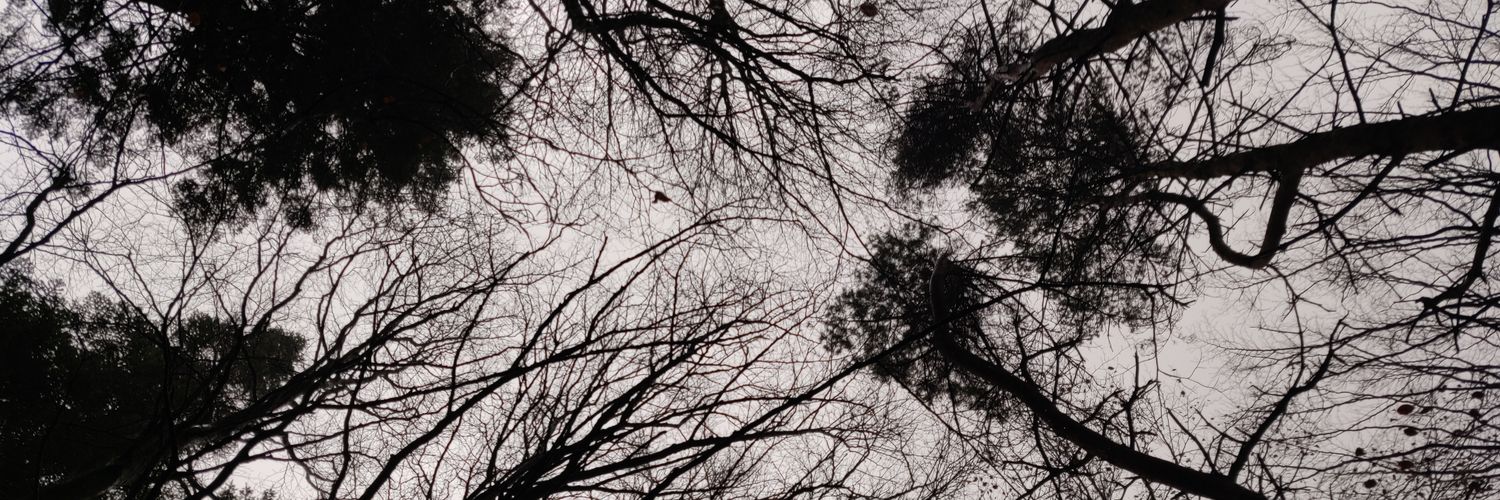 Cribtopia's profile banner image