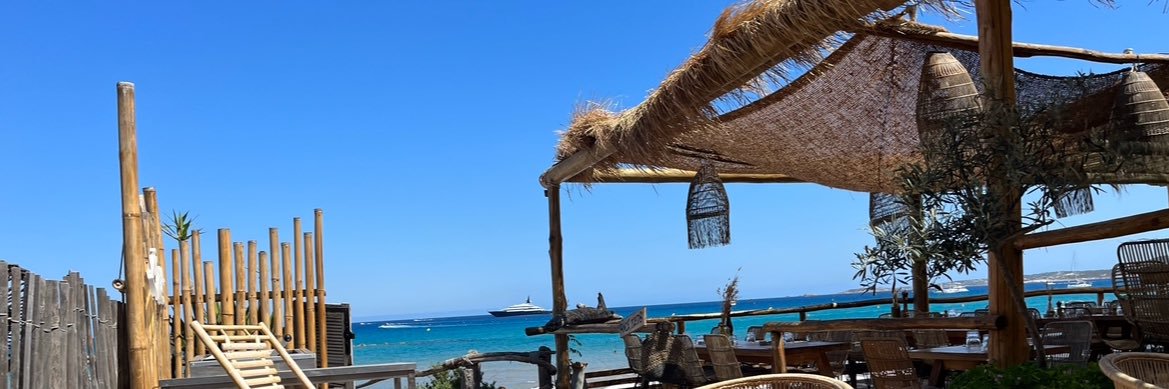 wtfisgoingon 🕯 banner