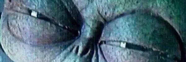 BiSantander's profile banner image