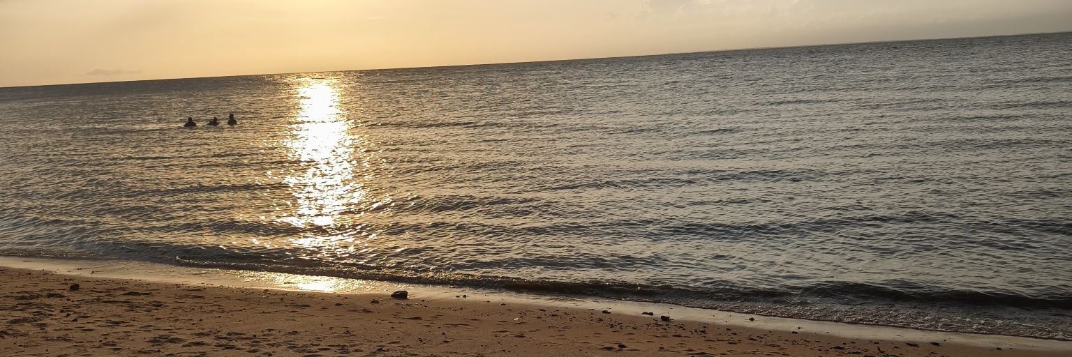 RChermont's profile banner image