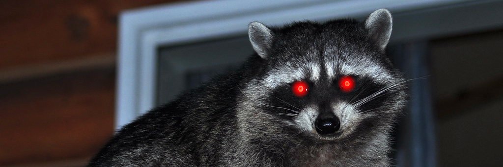 Hypnokrom 😵‍💫🦝😵‍💫 banner