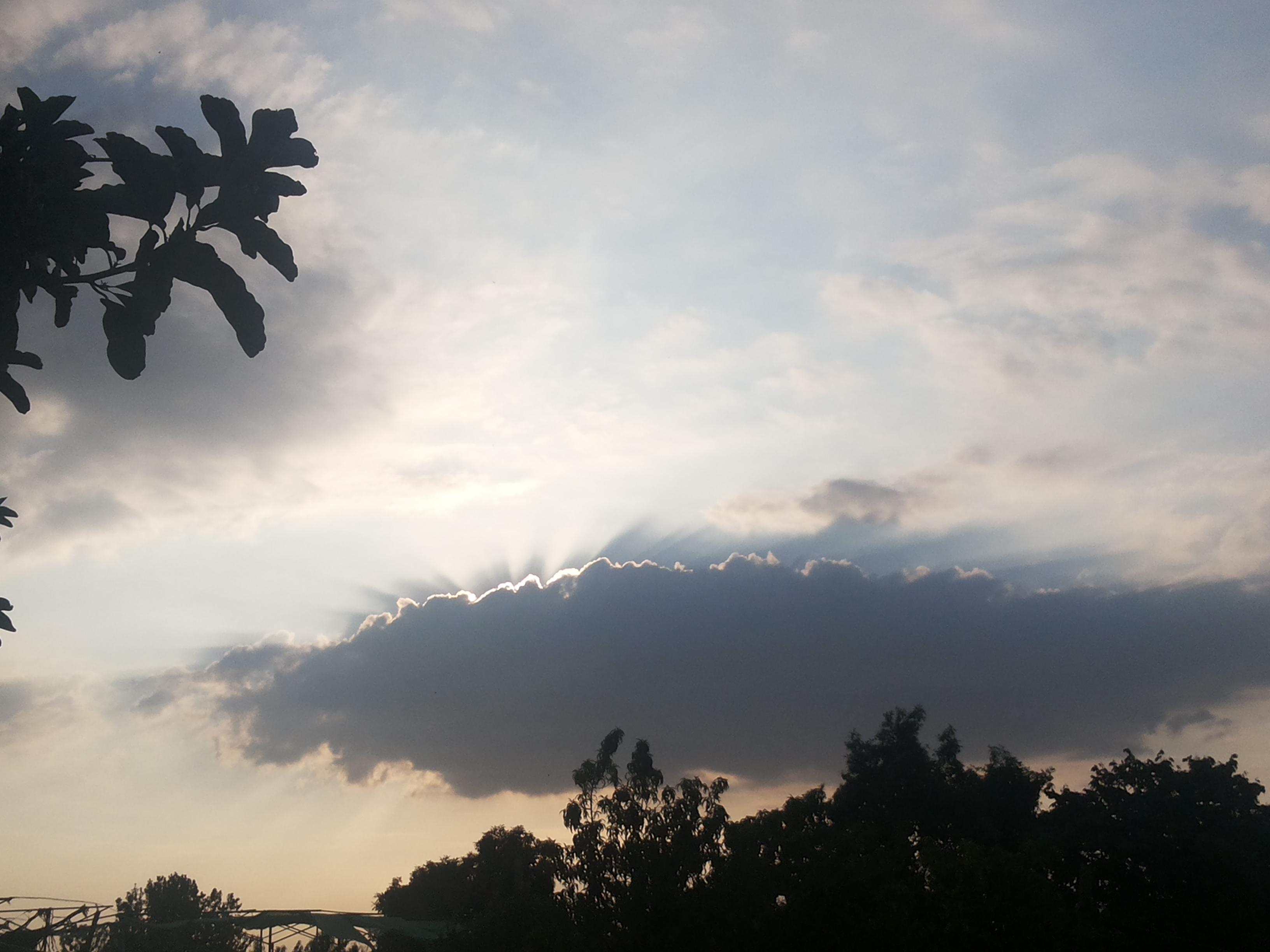 Jimena banner