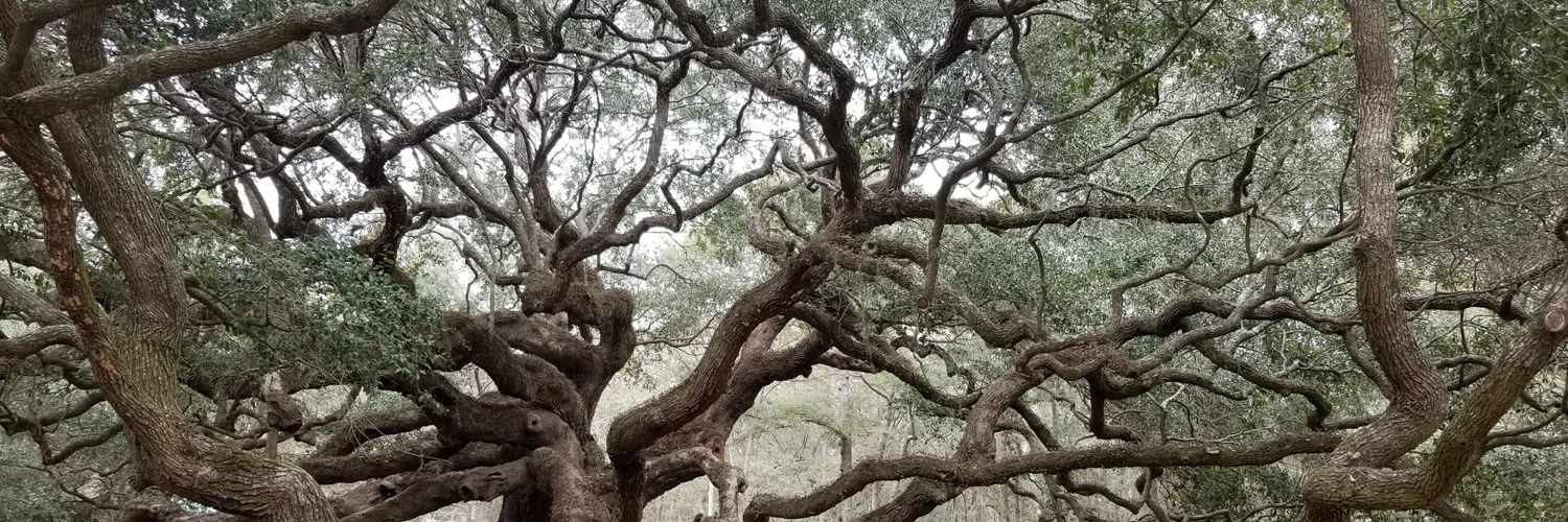 JoeyHenry_'s profile banner image