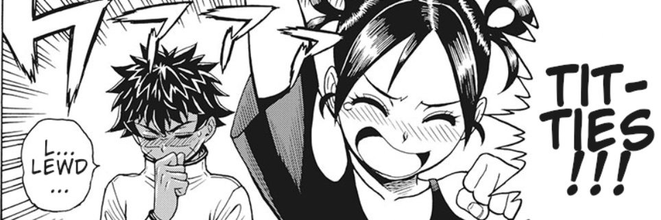 NovaeOmega's profile banner image