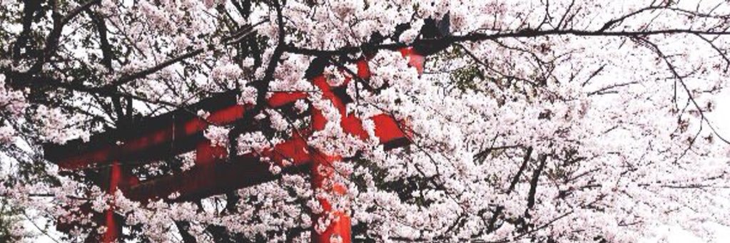 khaiiiriii's profile banner image