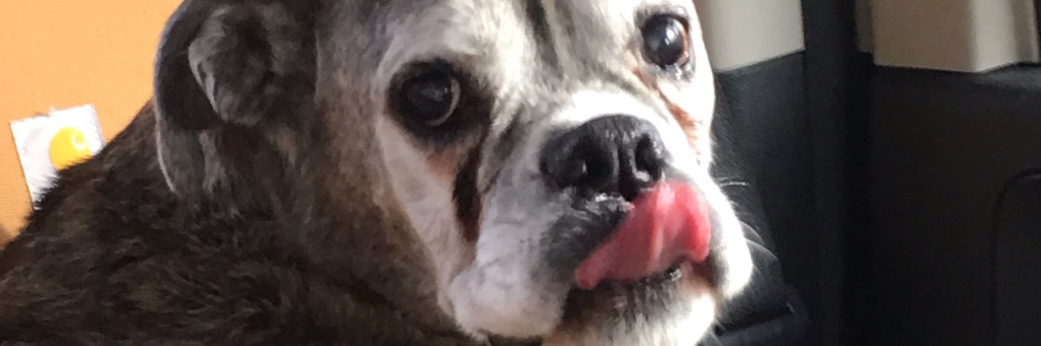 SimsJuliesims's profile banner image