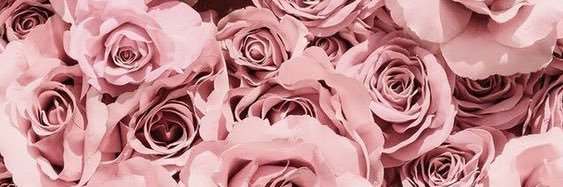 Assmaa_____'s profile banner image