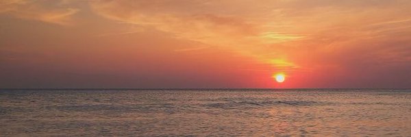 andrepancts Profile Banner