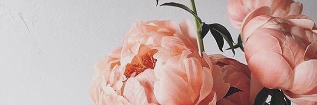 annaadoughh's profile banner image
