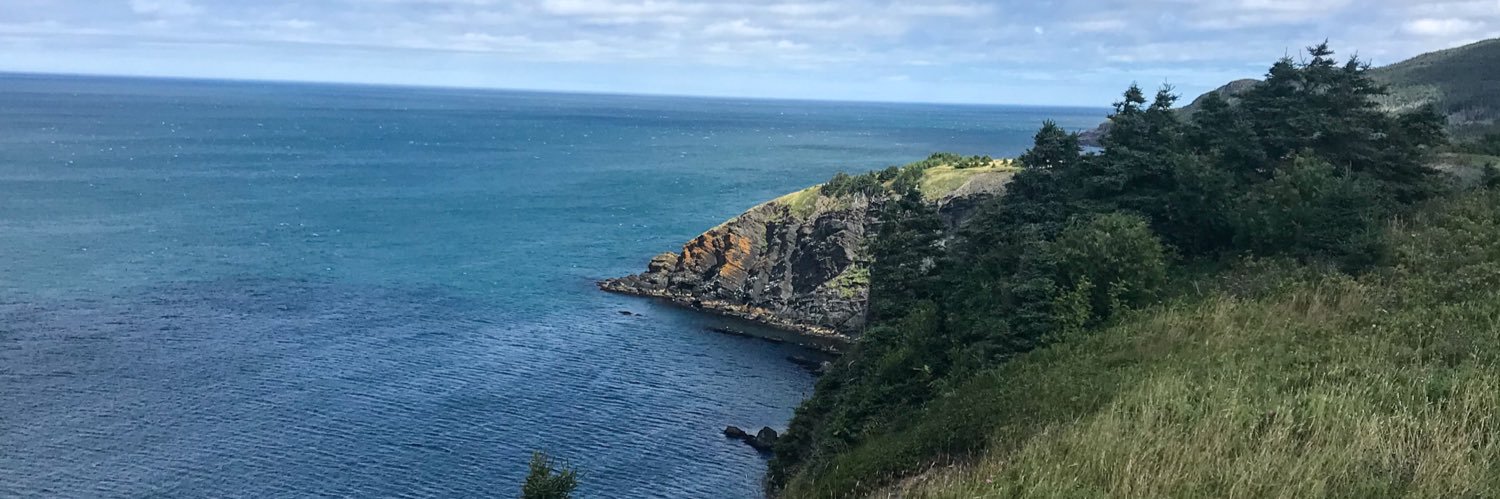 Meaghan Donaldson banner