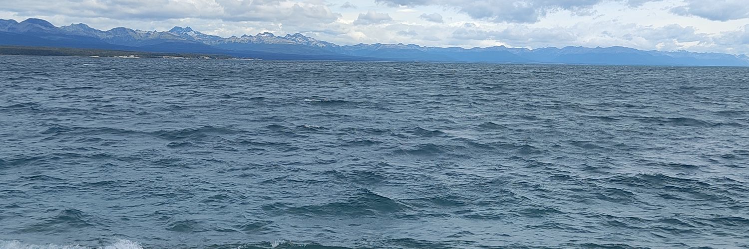 AlexLuna's profile banner image