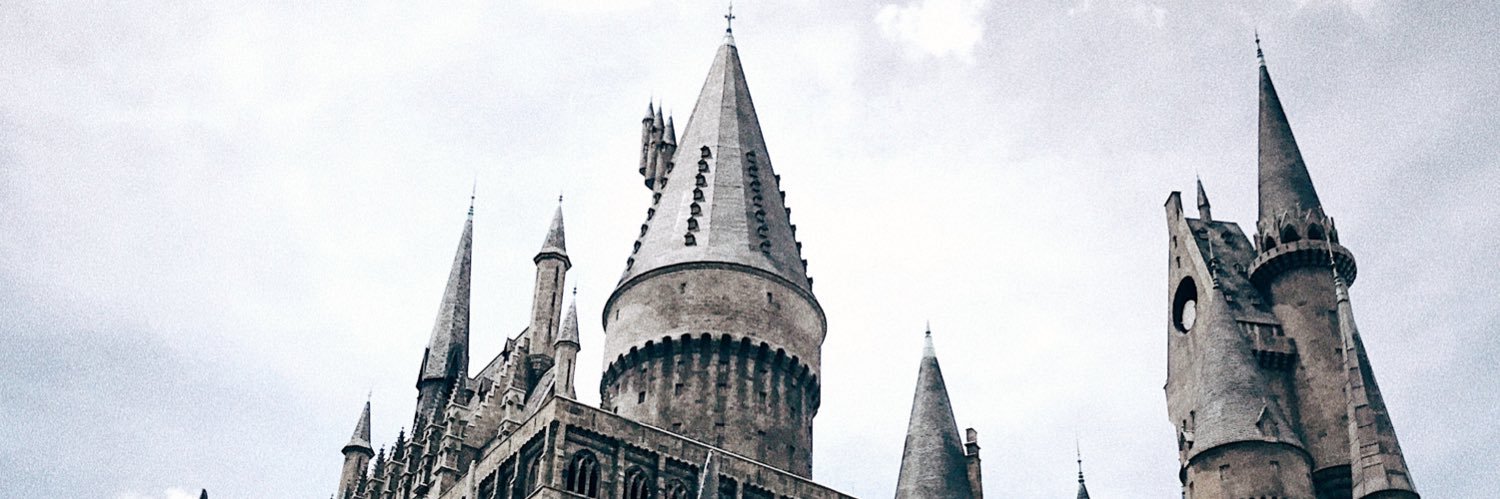 lanevantveer's profile banner image