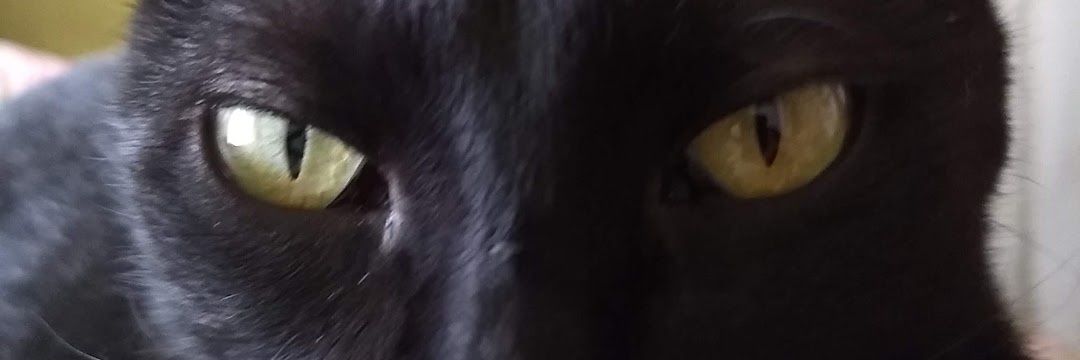 M_Candela's profile banner image