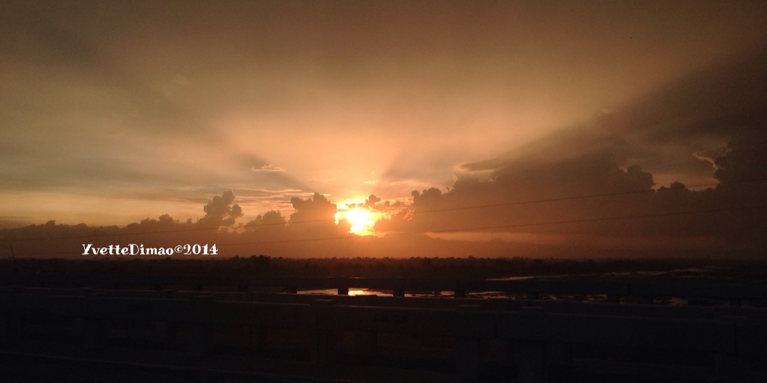 YvetteDimao™ banner