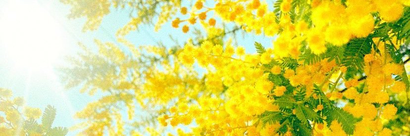 Anne_9191's profile banner image