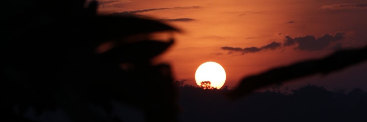 sandovalpress's profile banner image