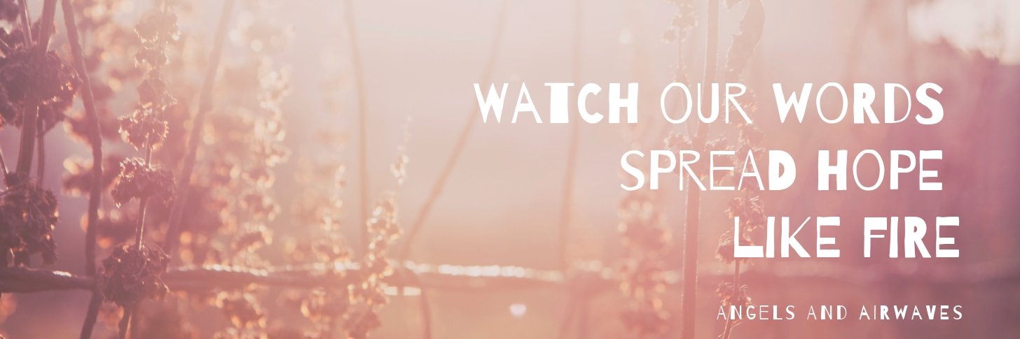 Kaitlyn Kolilis banner