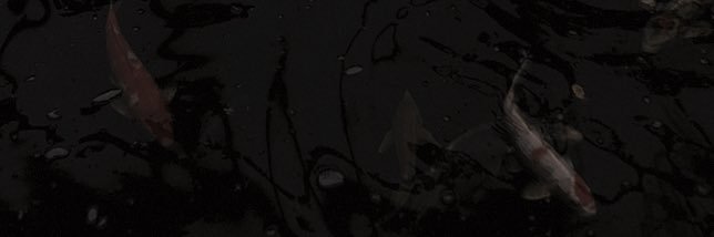 S banner
