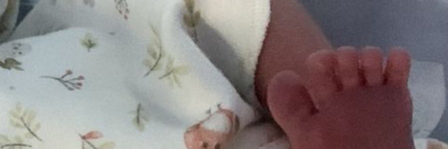 misslitii's profile banner image
