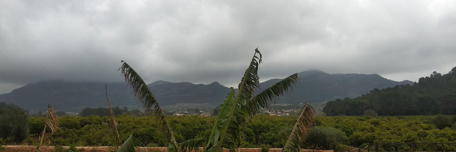 Dimònit del Cèntim banner