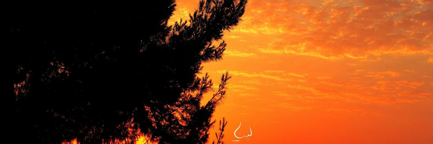 رفيقة الحرف والقلم🖋 banner