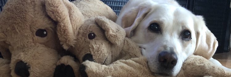 Nathalie😷🧘🏻‍♀️☕️🏃🏼‍♀️🧬 banner
