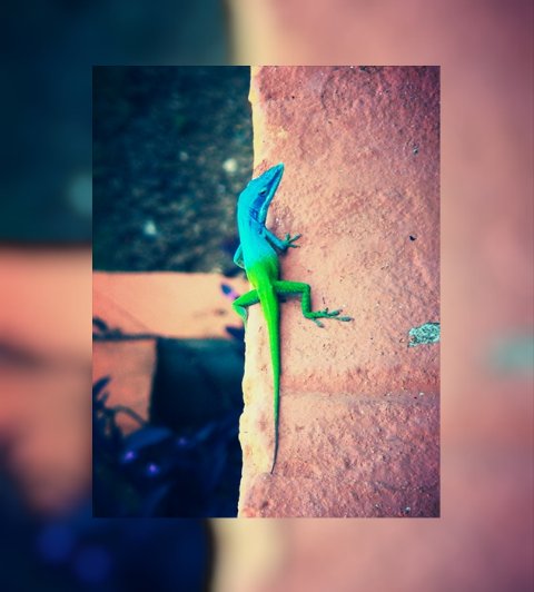 I'm Radioactive🎆 banner