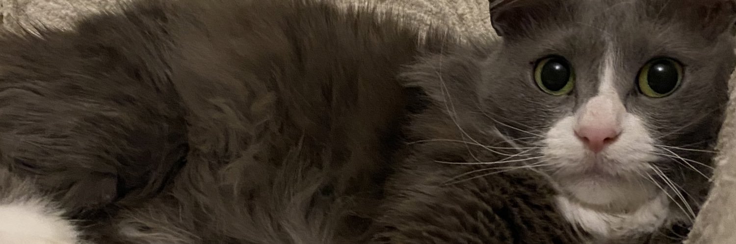 azraerik's profile banner image