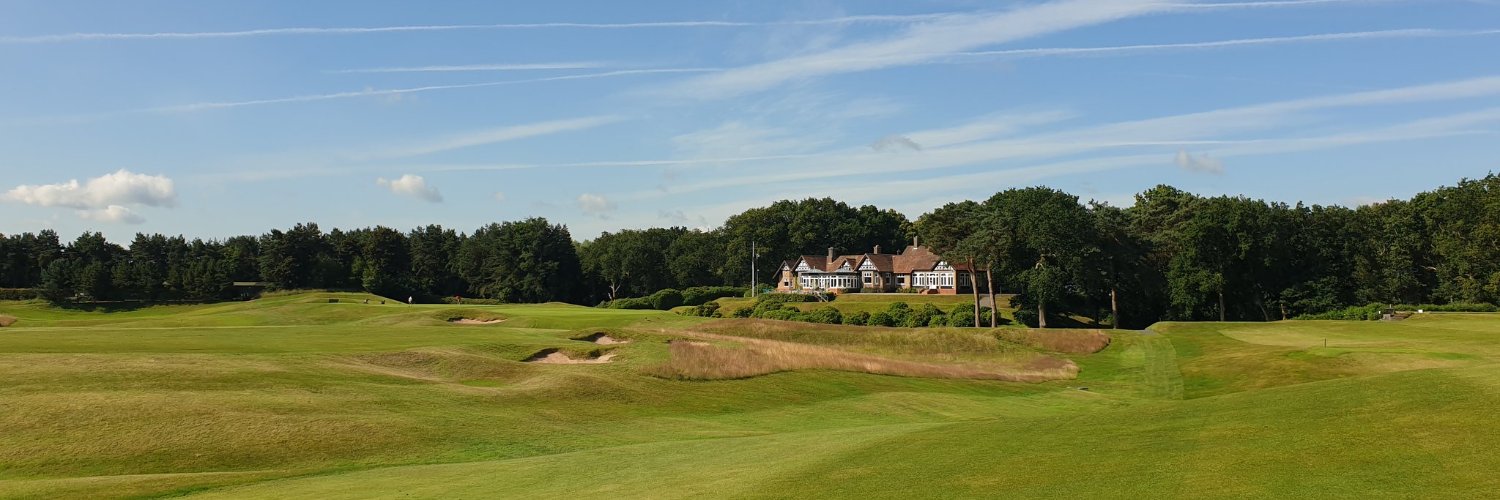delameregolf's profile banner image