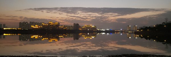 Web3Pig Profile Banner