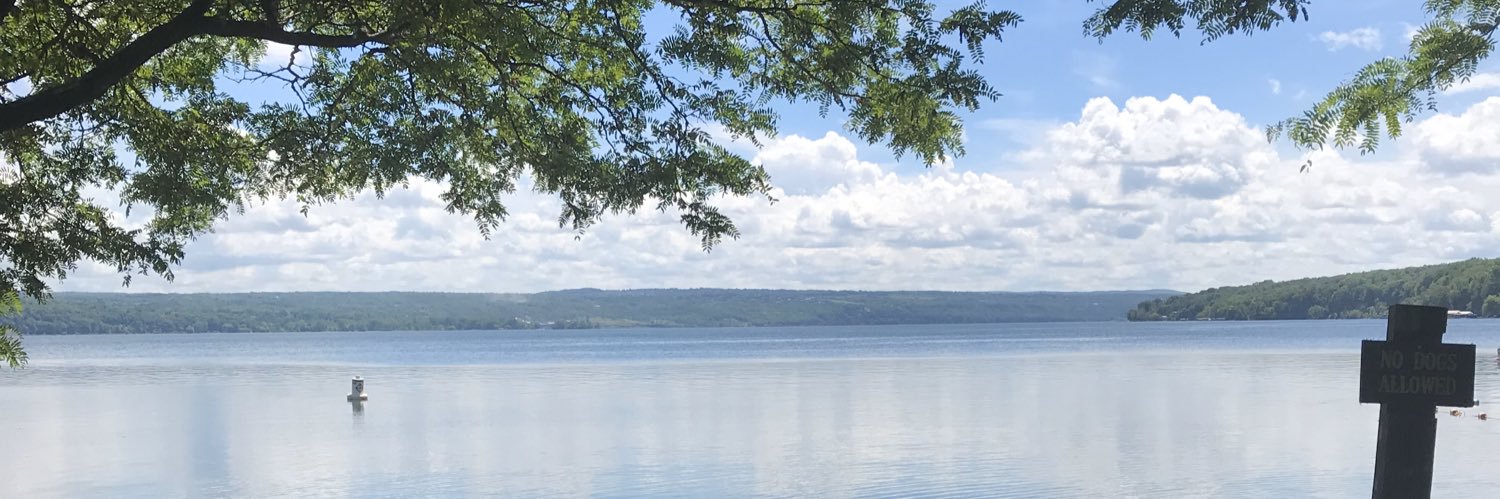 mwillia8's profile banner image