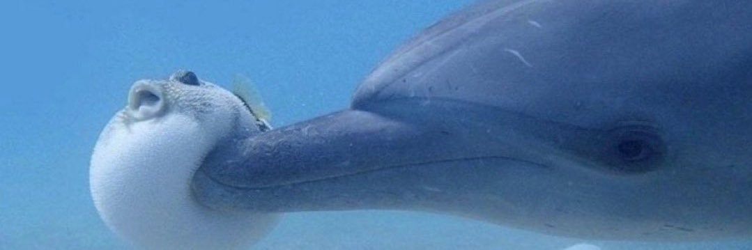 う ぱ 🌱( '-' 🌱 ) banner