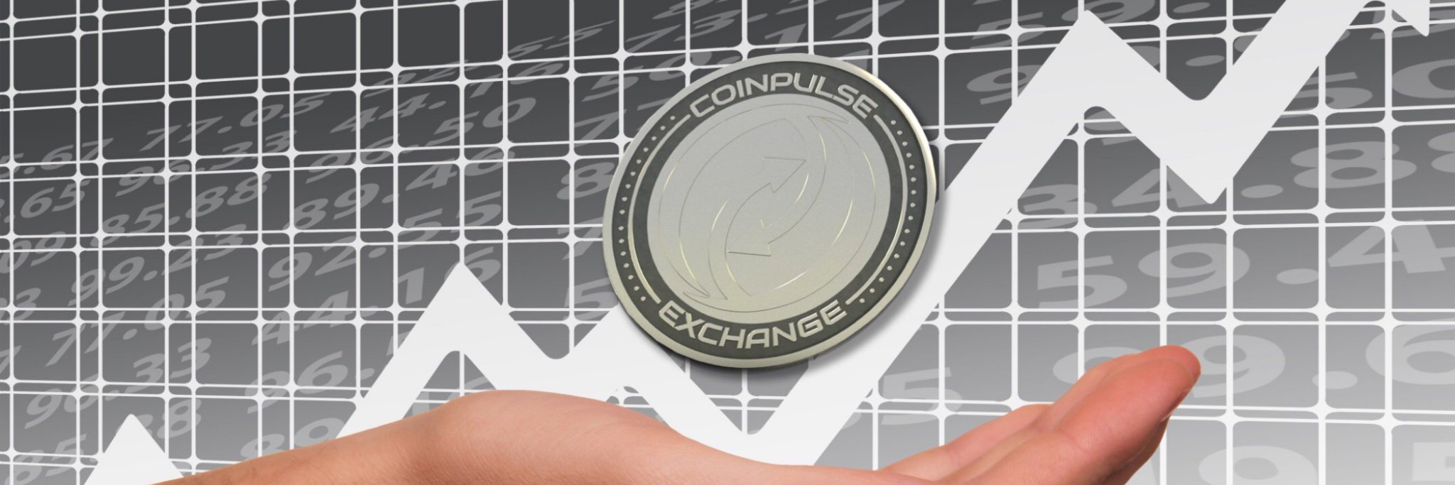 CoinPulse Exchange banner