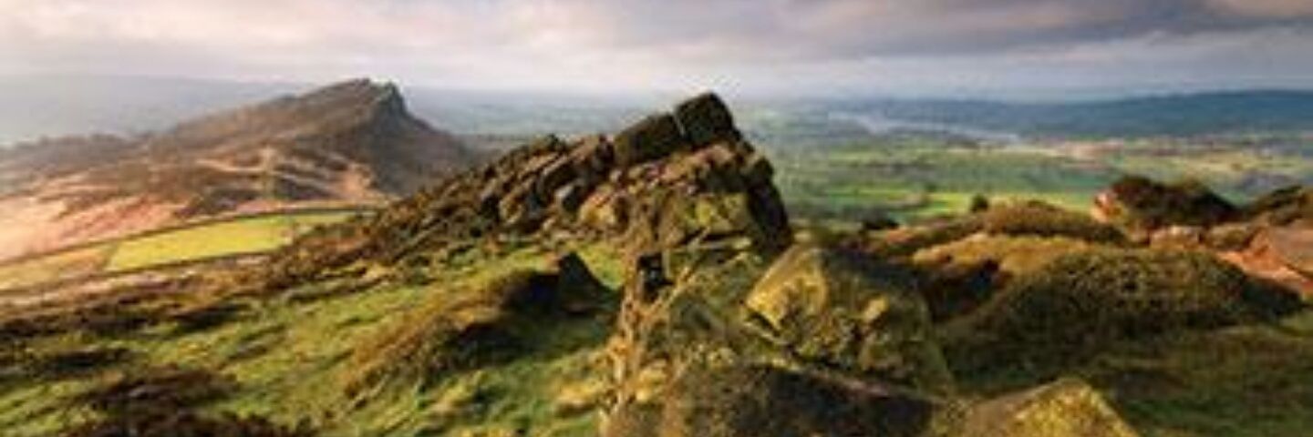Pete Budge banner