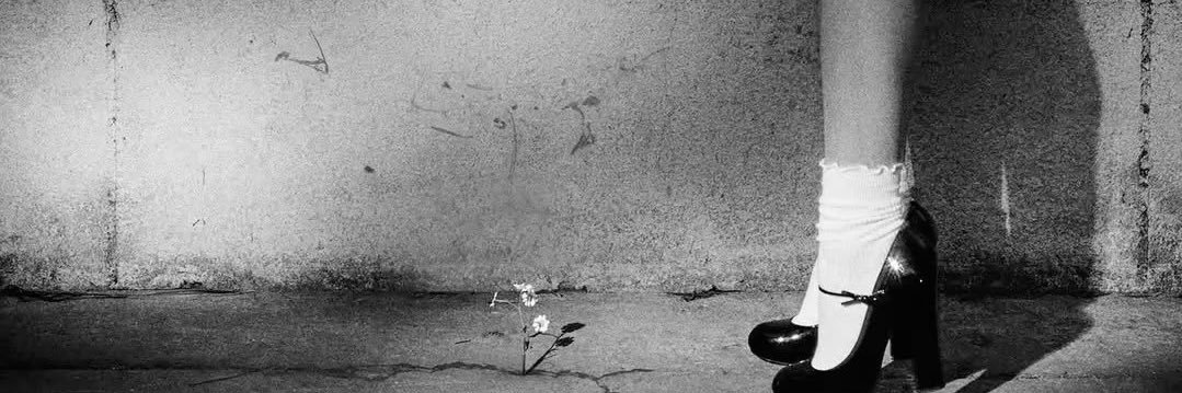 bellasp0v's profile banner image