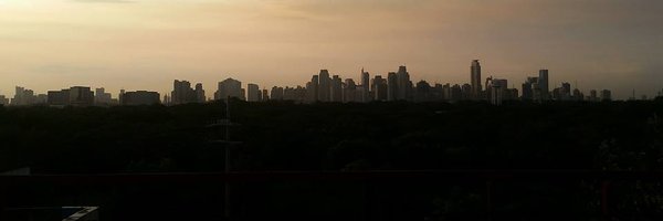 diviealt Profile Banner